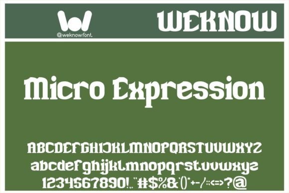 Micro Expression: A Playful Serif for Modern Editorial Design
